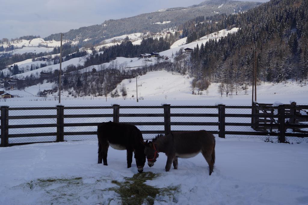 Bio-Bauernhof Reiterhof Βίλα Sankt Johann im Pongau Εξωτερικό φωτογραφία