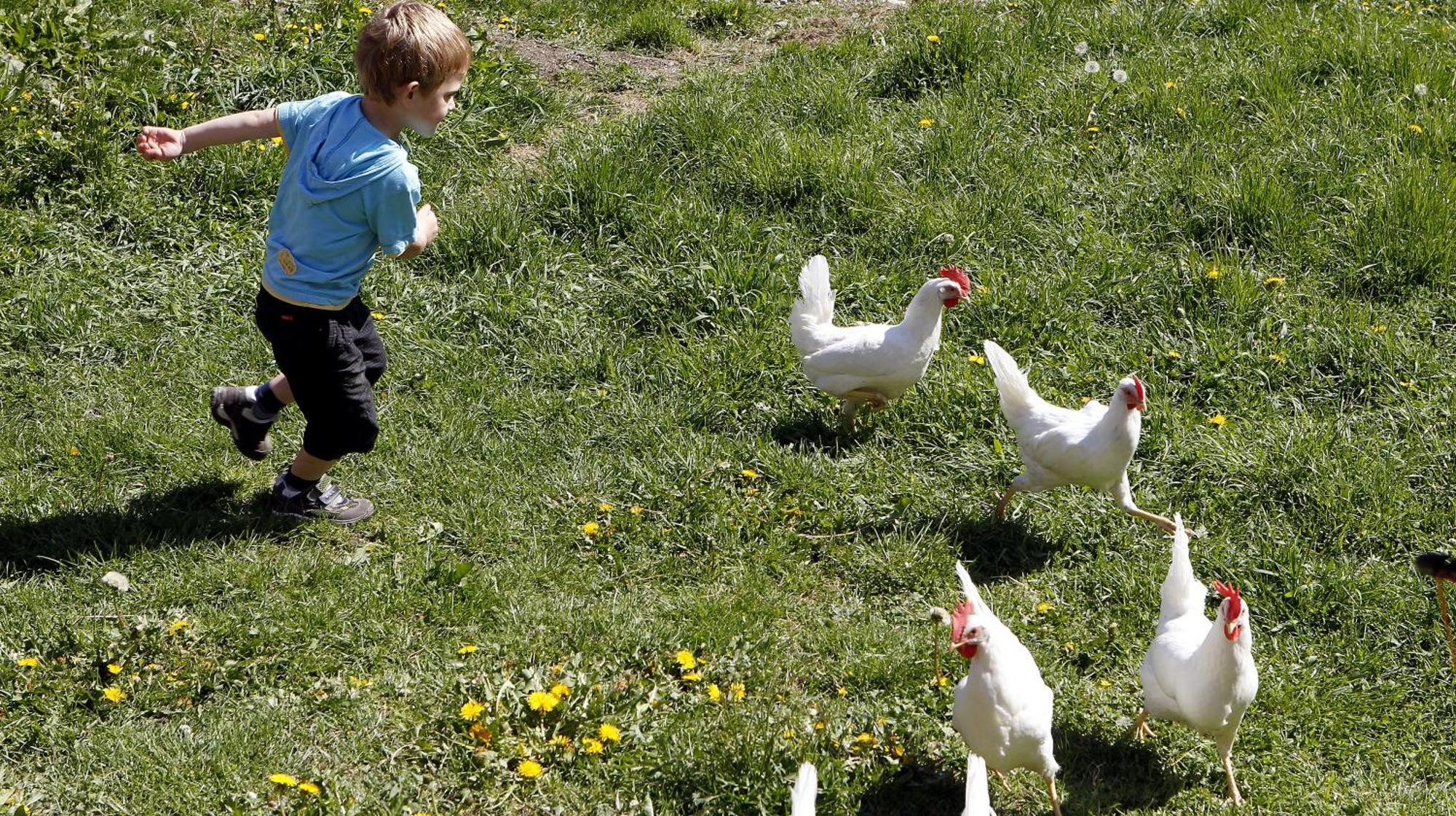 Bio-Bauernhof Reiterhof Βίλα Sankt Johann im Pongau Εξωτερικό φωτογραφία